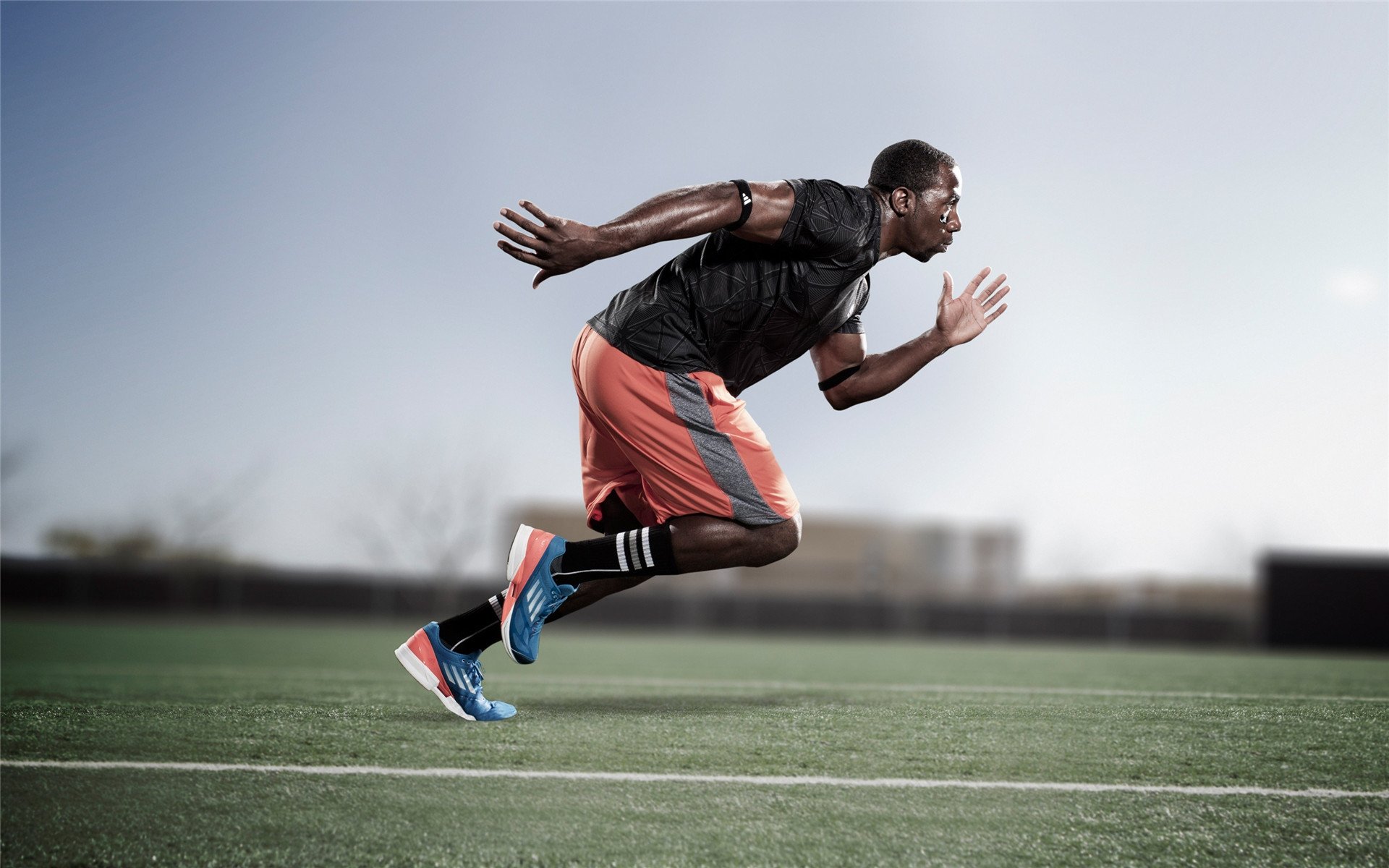 史上最大“黑马队”:逆势夺冠的壮阔篇章,今年最大的黑马